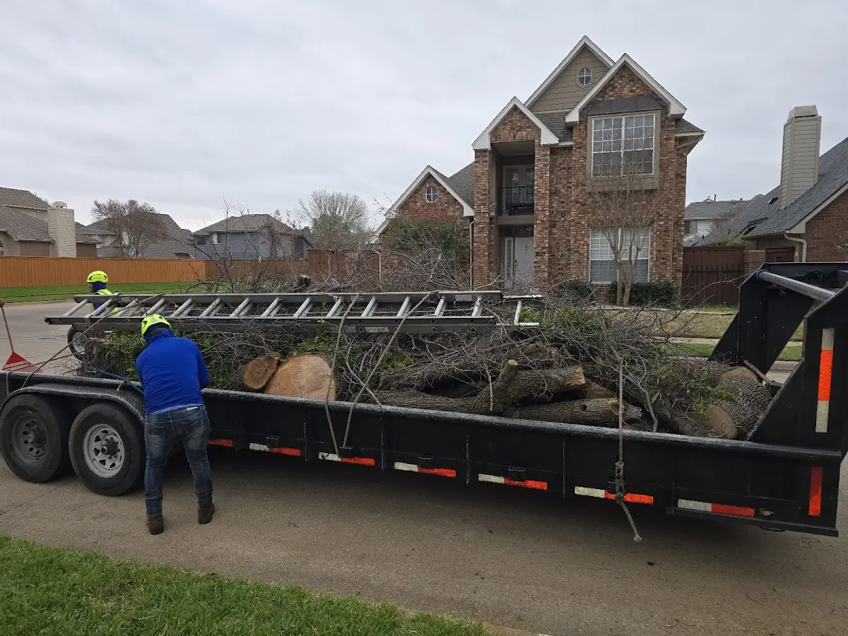 Expert Tree Fertilization with proper safety equipment in New Leipzig